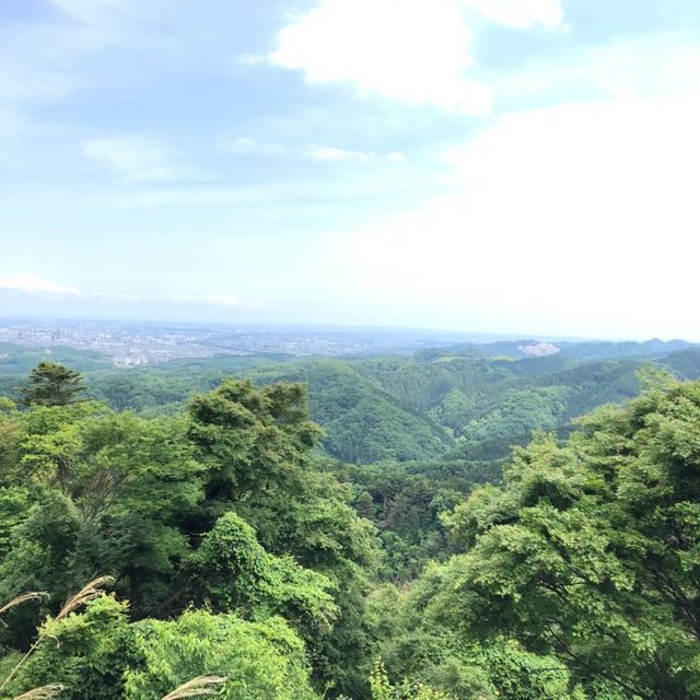 高尾山に行ってきました！