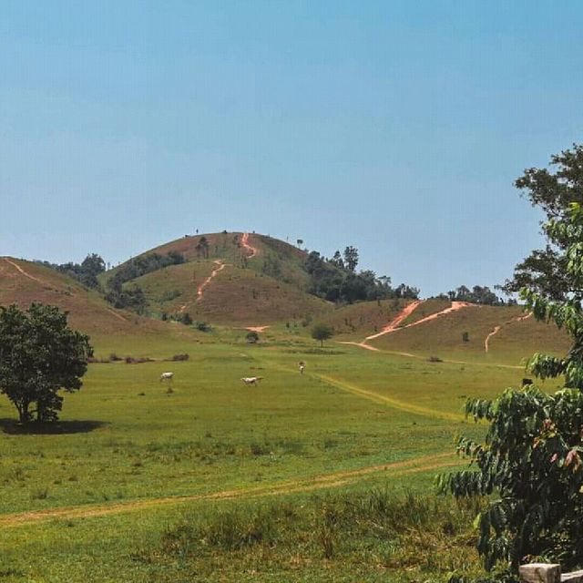 🌱🍀☘️ภูเขาหญ้า ความน่ารักของระนอง ที่ต้องห้ามพลาด