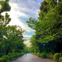 Buổi chiều ở công viên Ueno