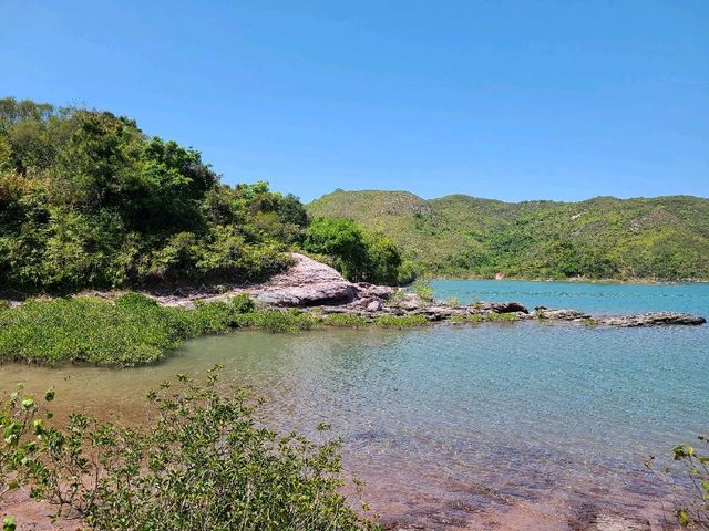 人間天堂~三椏🏞️