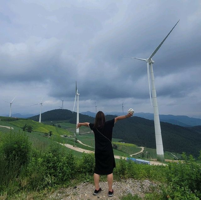 강원도 태백시 매봉산 바람의언덕 