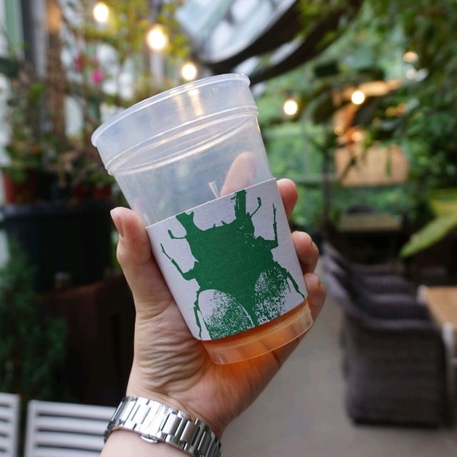 서울 근교 식물 감성 낭낭 카페🌿 과천 마이알레