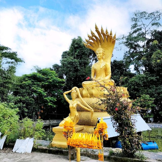 เที่ยววัดป่าภูทับเบิก วัดที่อยู่สูงที่สุดในไทย