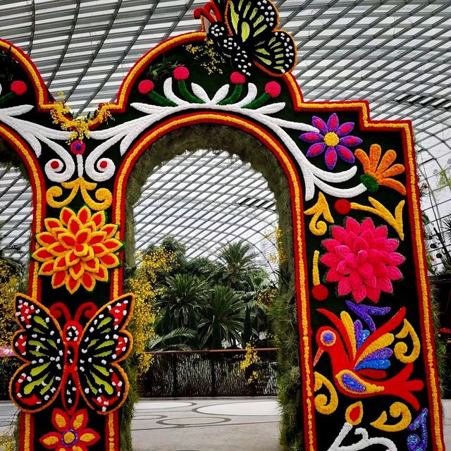 The Hanging Gardens - Mexican Roots 