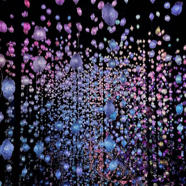 去大館扮去teamlab - 《潛入你眼簾— 皮皮樂迪‧里思特》,