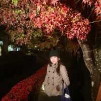 night market แถวถนน Kawaguchiko