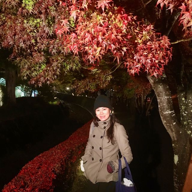 night market แถวถนน Kawaguchiko