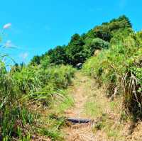 富士山を見ながら山登り！