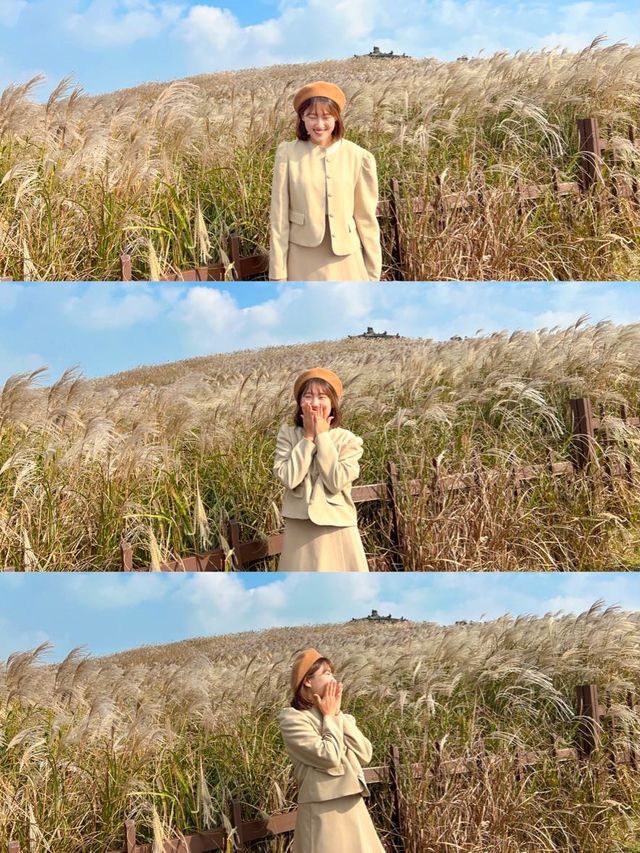 제주 가을감성 가득한 곳, ‘산굼부리’