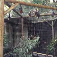 Caversham Wildlife Park 