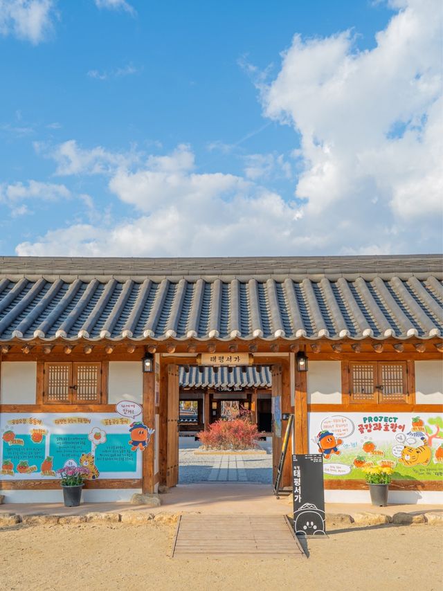 태평성대경상감영 속 상주 한옥 피크닉 카페