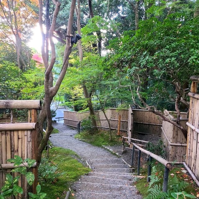平家物語に登場する悲恋の尼寺【祇王寺】✨