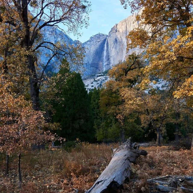 View From Yosemite Valley Floor