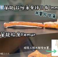 《恐龍展🦕必睇7項嬰幼龍醫護》