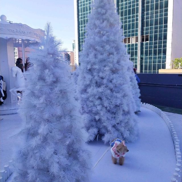 飄雪聖誕 飄雪聖誕