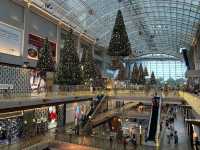 Abundance of Christmas trees