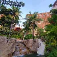 โรงแรมในธีม lost world