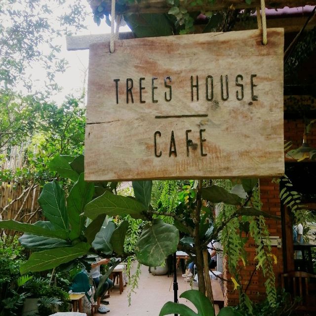 Tree house cafe, chilling among nature🍵🌲