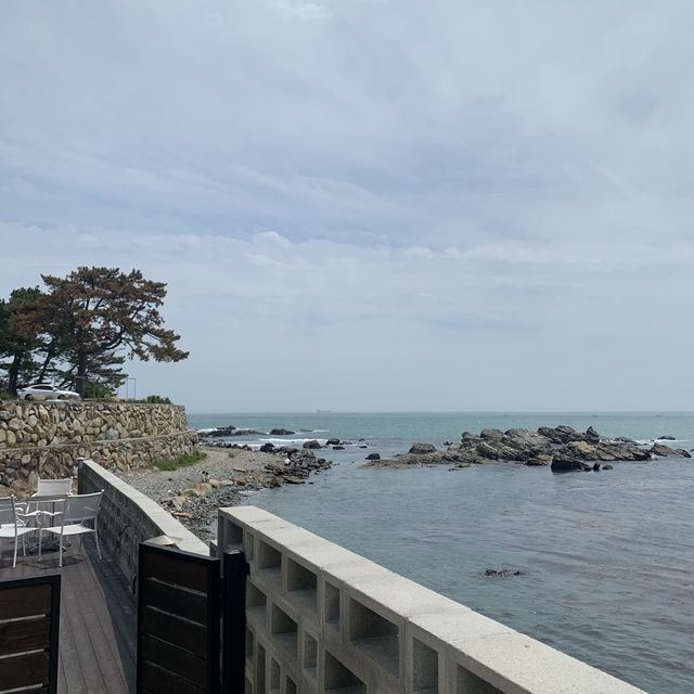 기장 브런치 카페 ‘오시오’