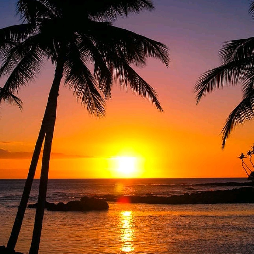 San Pancho