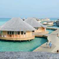 Mauritius –All About Coral Reefs & Beach