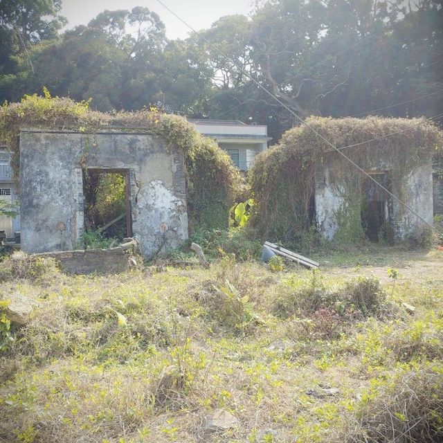 鹿頸