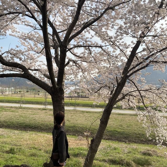 양산 ‘황산문화체육공원’