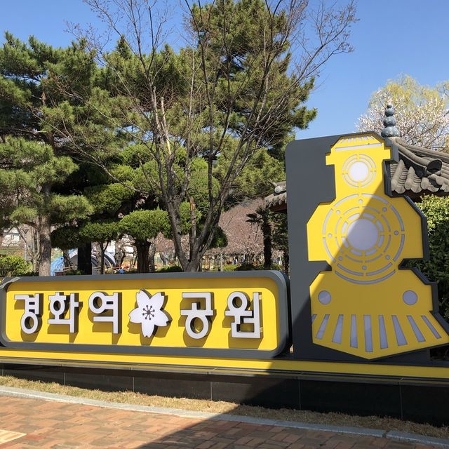 벚꽃이 기다려지는, 경화역공원