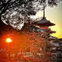 The art of entertainment by Geisha in Kyoto