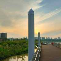 Jurong Lake Garden