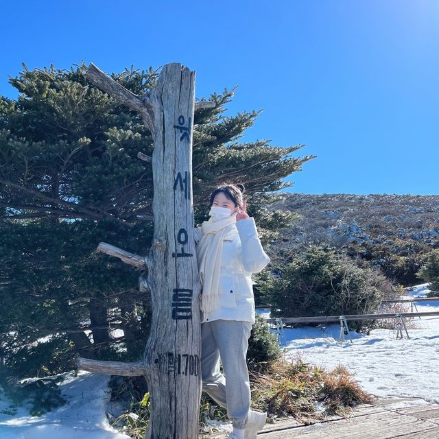 제주의 겨울을 느끼려면 한라산 !!