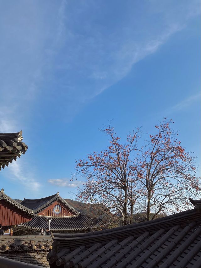 단풍이 아름다운 동화사 🍁🍂