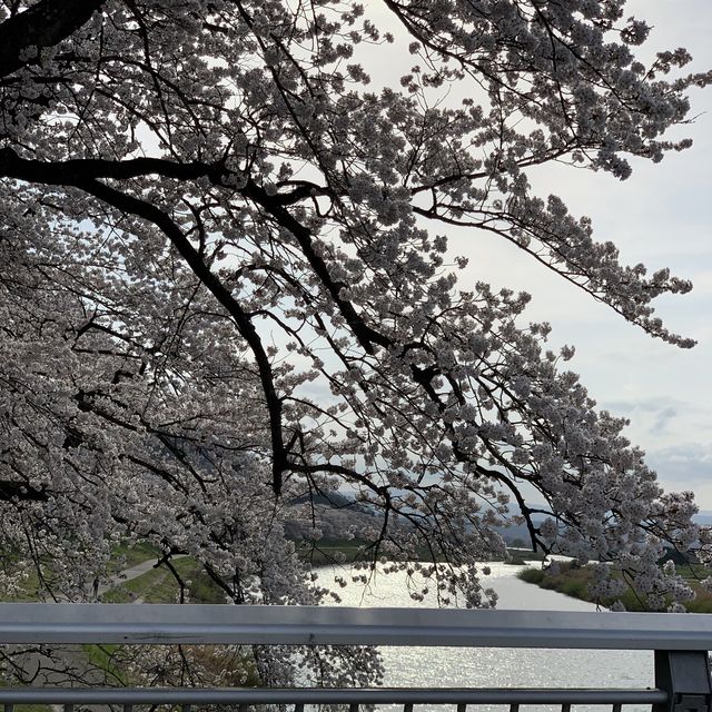 旅行
