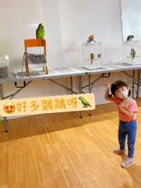 寵物嘉年華：與小動物近距離接觸互動