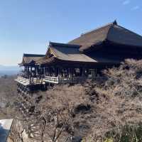 【京都旅行の醍醐味！】京都で人気観光スポットを巡ってきた