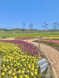 미니 제주🌸 짧은 제주 여행이라면 필수 코스!