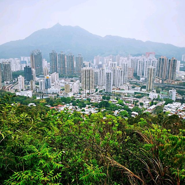 藍地水塘 屯門徑 彩虹欄桿