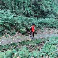 Xiaozishan Trail 孝子山步道🐾爬爬山呼吸新鮮空氣🌳新北平溪