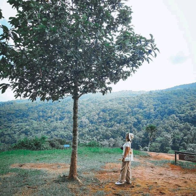 อุทยานแห่งชาติภูหินร่องกล้า จังหวัดพิษณุโลก