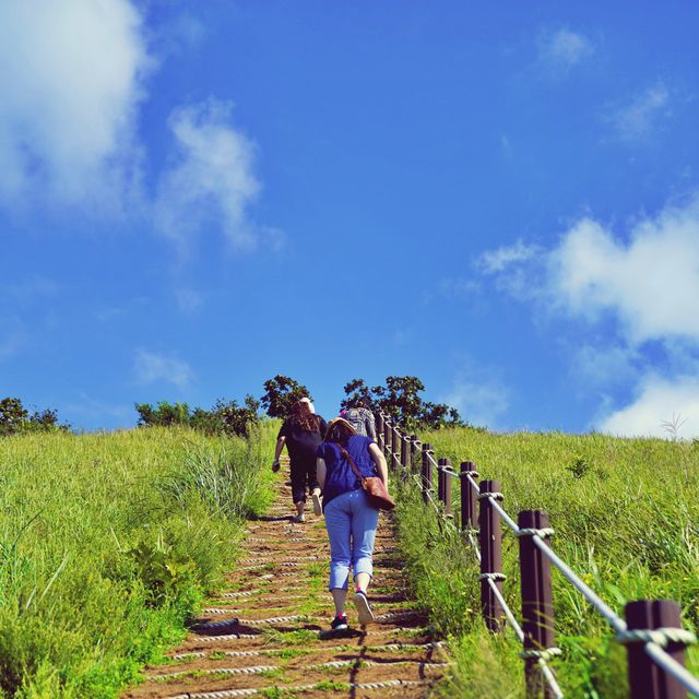 ⛰️ 초록빛의 오름산책을 더위가 막을 순 없지, 새별오름