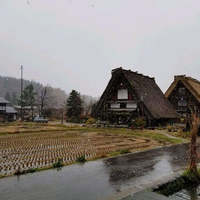 名古屋