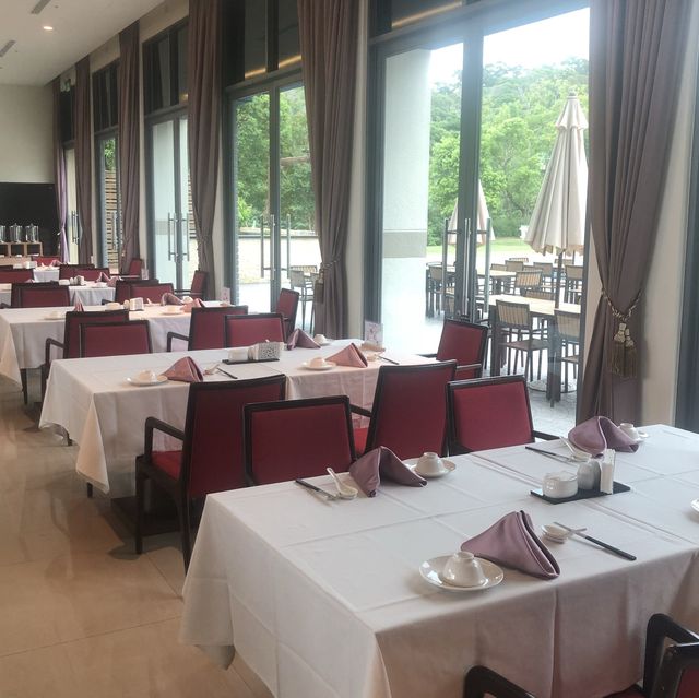 苑裡祕境餐廳🍴｜藍天綠地游池盡收眼底🌺