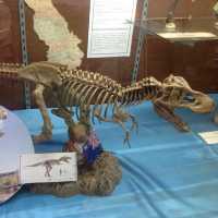 The Savannakhet Dinosaur Museum