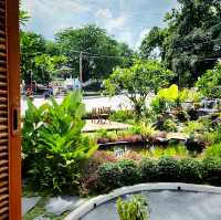 คาเฟ่ อเมซอน 