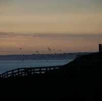 A JOURNEY TO NOBBIES CENTRE, PHILIP ISLAND