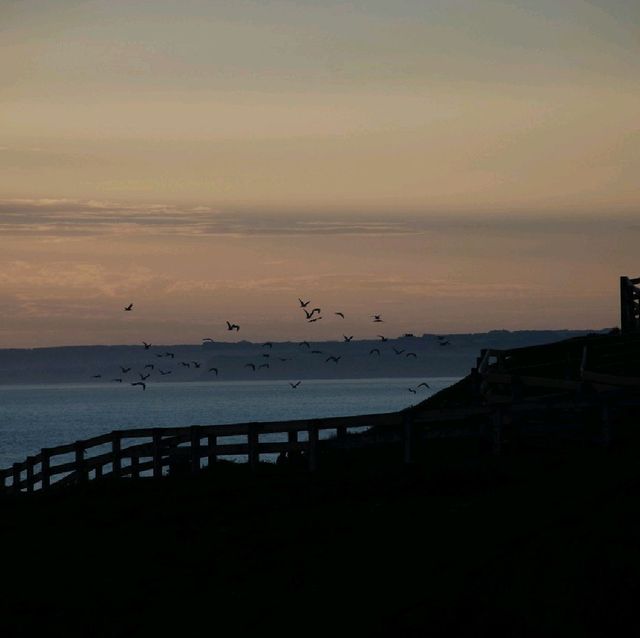 A JOURNEY TO NOBBIES CENTRE, PHILIP ISLAND