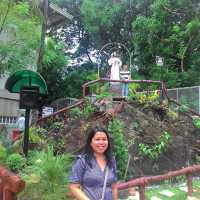  Divine Mercy in Bulacan