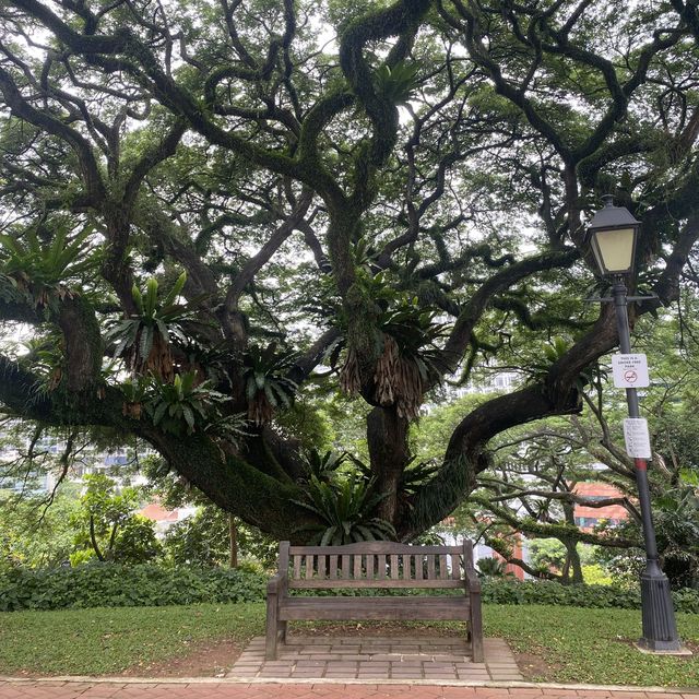 Fort Canning Park