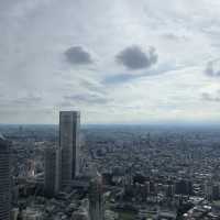【新宿都庁を観光!?】