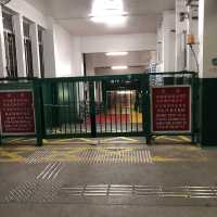 ［香港的象徵］天星小輪142年歷史